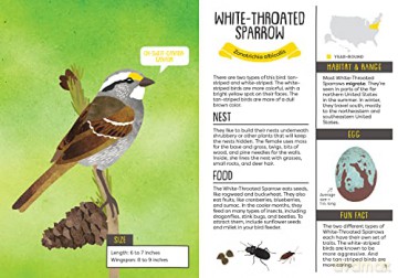Kids Guide To Backyard Birds - Eliza Berkowitz [KSIĄŻKA]