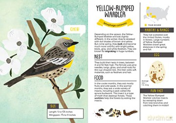 Kids Guide To Backyard Birds - Eliza Berkowitz [KSIĄŻKA]