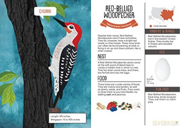 Kids Guide To Backyard Birds - Eliza Berkowitz [KSIĄŻKA]