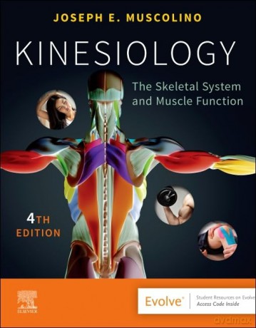 Kinesiology - Joseph E. Muscolino [KSIĄŻKA]