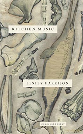 Kitchen Music - Lesley Harrison [KSIĄŻKA]