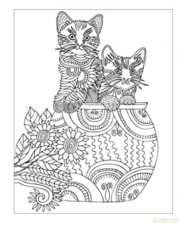 Kittens Colouring Book - Tansy Willow [KSIĄŻKA]