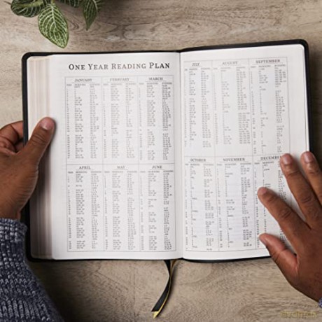 Kjv Bible Giant Print Thinline Bible Vin [KSIĄŻKA]