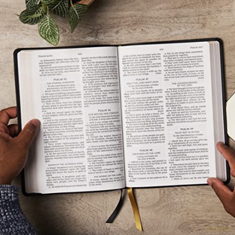 Kjv Bible Giant Print Thinline Bible Vin [KSIĄŻKA]