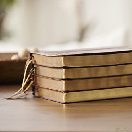 Kjv Bible Giant Print Thinline Bible Vin [KSIĄŻKA]