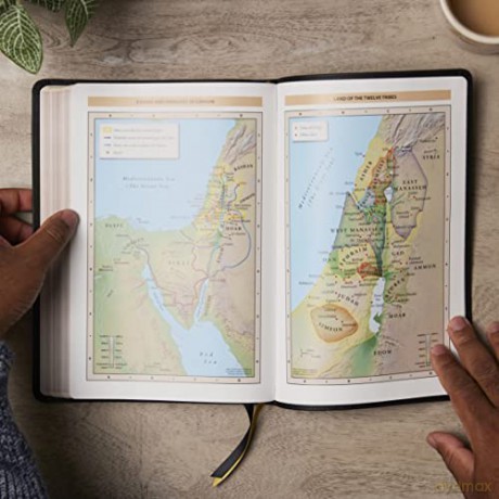 Kjv Bible Giant Print Thinline Bible Vin [KSIĄŻKA]