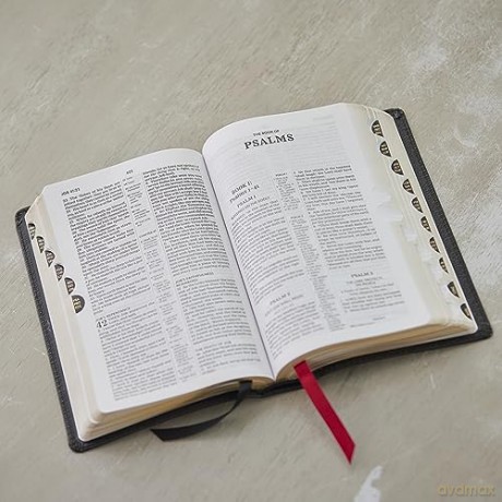 Kjv Compact Centercolumn Reference Bible [KSIĄŻKA]