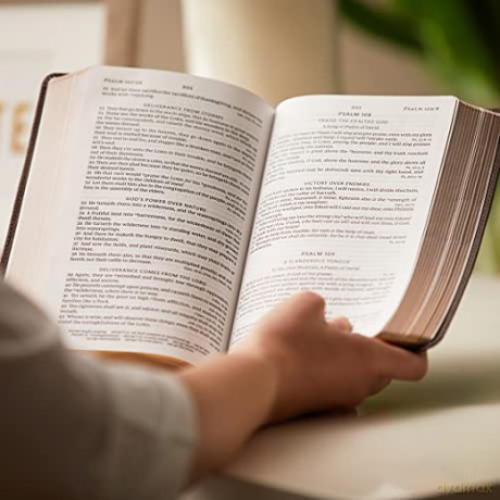 Kjv Endofverse Reference Ile Personal Si [KSIĄŻKA]