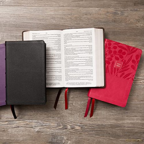 Kjv Endofverse Reference Ile Personal Si [KSIĄŻKA]