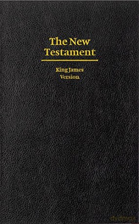 Kjv Giant Print Nt Kj481n - Testament New [KSIĄŻKA]