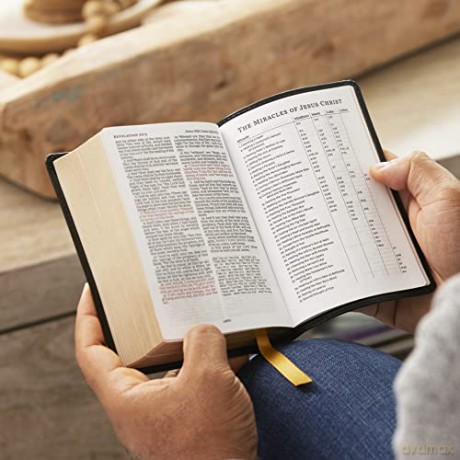 Kjv Holy Bible Compact Reference Bible L [KSIĄŻKA]