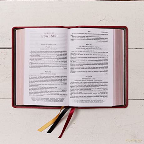 Kjv Personal Size Large Print Singlecolu [KSIĄŻKA]