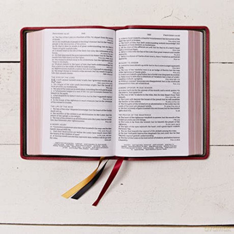 Kjv Personal Size Large Print Singlecolu [KSIĄŻKA]