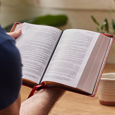 Kjv Personal Size Large Print Singlecolu [KSIĄŻKA]