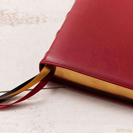 Kjv Personal Size Large Print Singlecolu [KSIĄŻKA]