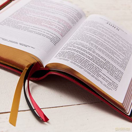 Kjv Personal Size Large Print Singlecolu [KSIĄŻKA]
