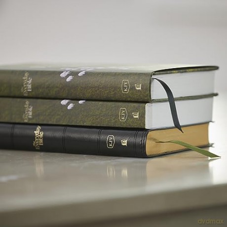 Kjv The Everyday Bible Paperback Red Let [KSIĄŻKA]
