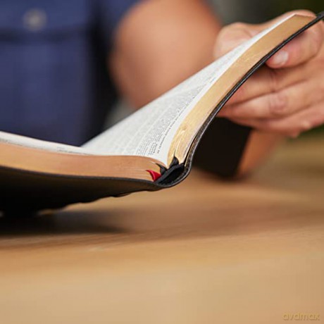 Kjv Thinline Bible Large Print Premium G [KSIĄŻKA]