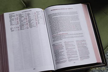 Kjv Thompson Chain Refere Lth - Thompson Frank [KSIĄŻKA]