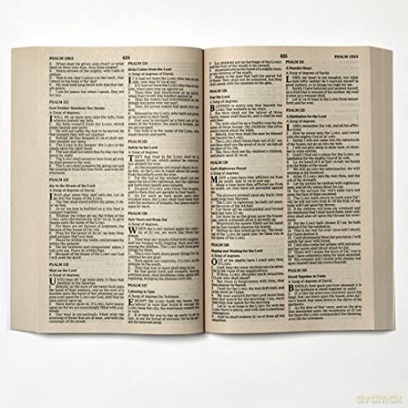 Kjv Value Outreach Bible Pb [KSIĄŻKA]