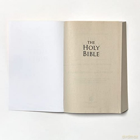 Kjv Value Outreach Bible Pb [KSIĄŻKA]