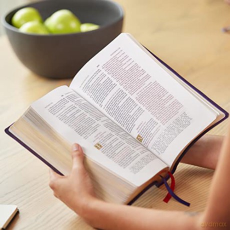 Kjv Widemargin Reference Bible Sovereign [KSIĄŻKA]