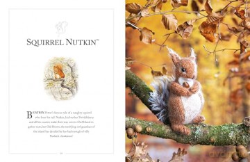 Knitting Peter Rabbit - Claire Garland [KSIĄŻKA]