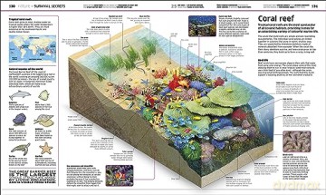 Knowledge Encyclopedia [KSIĄŻKA]