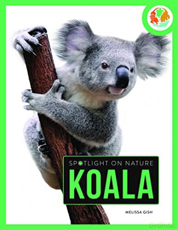 Koala - Melissa Gah [KSIĄŻKA]