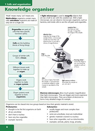Ks3 Science Now Learn Pb - Edmund Walsh [KSIĄŻKA]
