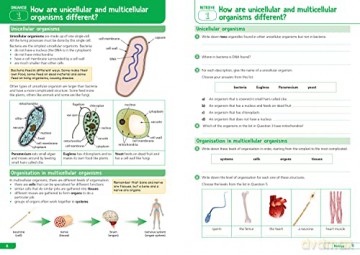 Ks3 Science Yr 7 - Collins Ks3 [KSIĄŻKA]