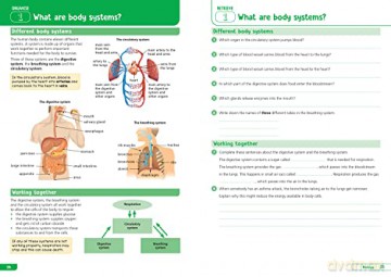 Ks3 Science Yr 8 - Collins Ks3 [KSIĄŻKA]
