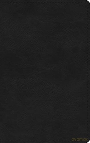 La Santa Biblia Rvr Tamano Delgado [KSIĄŻKA]