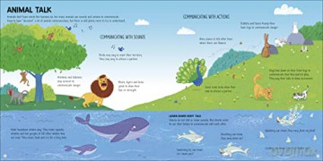 Language Around The World [KSIĄŻKA]