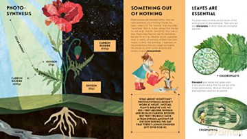 Language Of Plants [KSIĄŻKA]