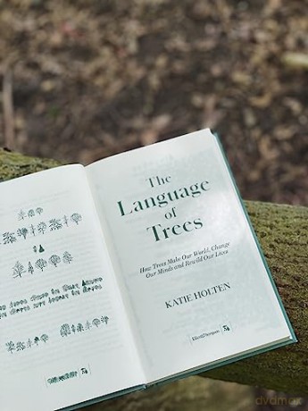Language Of Trees - Katie Holten [KSIĄŻKA]
