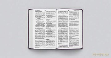 Large Print Value Thinline Bible [KSIĄŻKA]