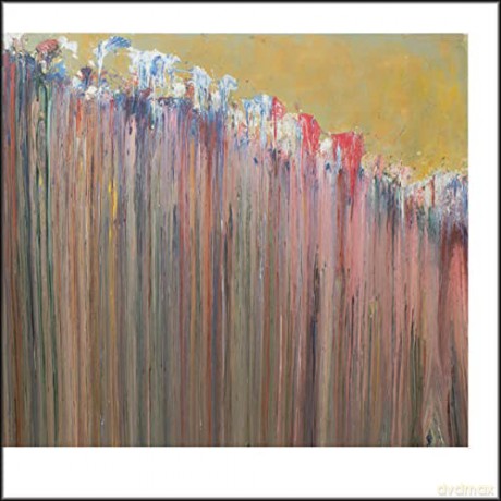 Larry Poons - David Anfam [KSIĄŻKA]