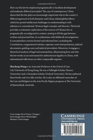 Law As An Instrument - Wang Shucheng [KSIĄŻKA]