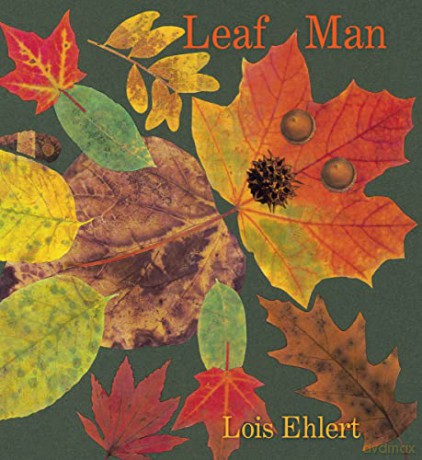 Leaf Man Board Book - Ehlert Lois [KSIĄŻKA]