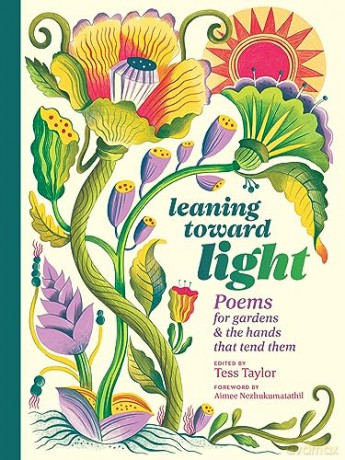 Leaning Toward Light - Tess Taylor [KSIĄŻKA]