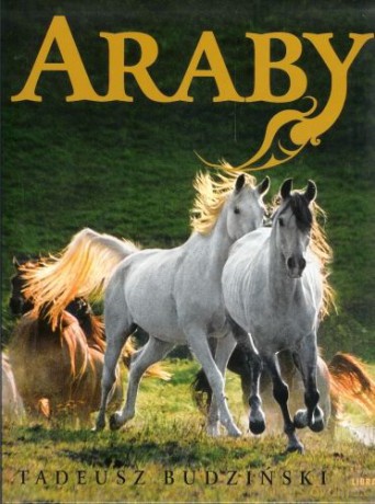 Araby. Dzieci Wiatru - Tadeusz Budziński [KSIĄŻKA]