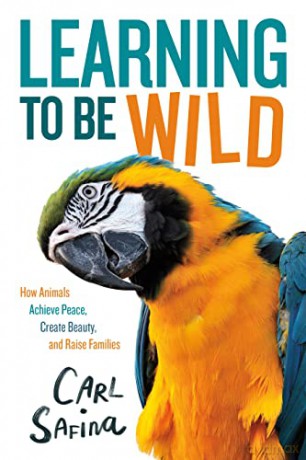 Learning To Be Wild A Young Readers Adap - Carl Safina [KSIĄŻKA]
