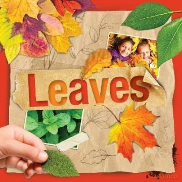 Leaves - S Cavell-Clarke [KSIĄŻKA]