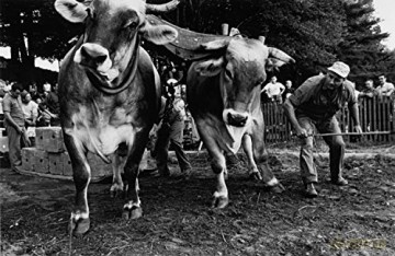 Lee Friedlander Workers - Lee Friedlander [KSIĄŻKA]