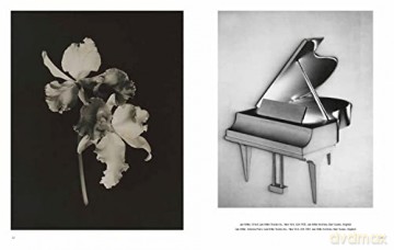 Lee Miller Man Ray - Victor Noel-Johnson [KSIĄŻKA]