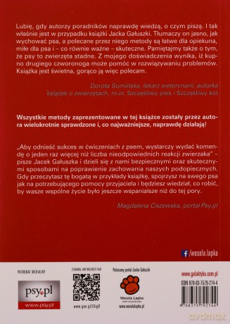 Aria, Nie! Skuteczne Rozwiązywanie Problemów - Gałuszka Jacek [KSIĄŻKA]