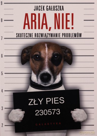 Aria, Nie! Skuteczne Rozwiązywanie Problemów - Gałuszka Jacek [KSIĄŻKA]