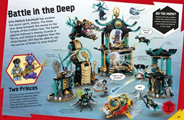 Lego Ninjago Secret World Of The Ninja [KSIĄŻKA]
