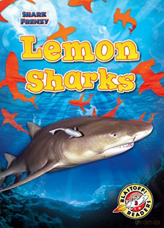 Lemon Sharks - Rebecca Pettiford [KSIĄŻKA]